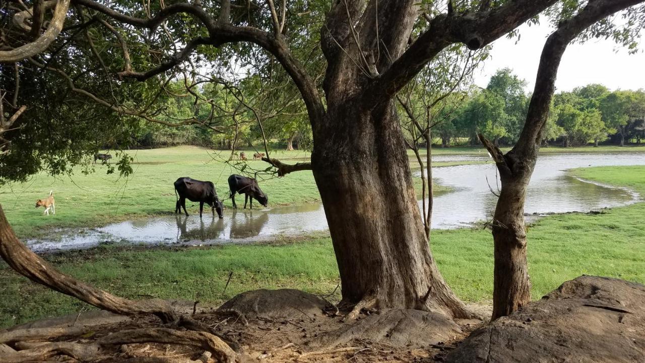 Sigiri Holiday Villa Sigiriya Luaran gambar
