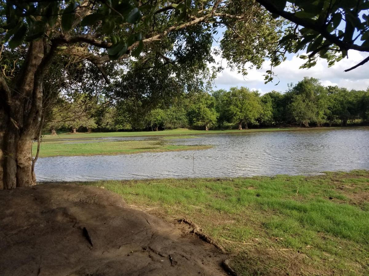 Sigiri Holiday Villa Sigiriya Luaran gambar