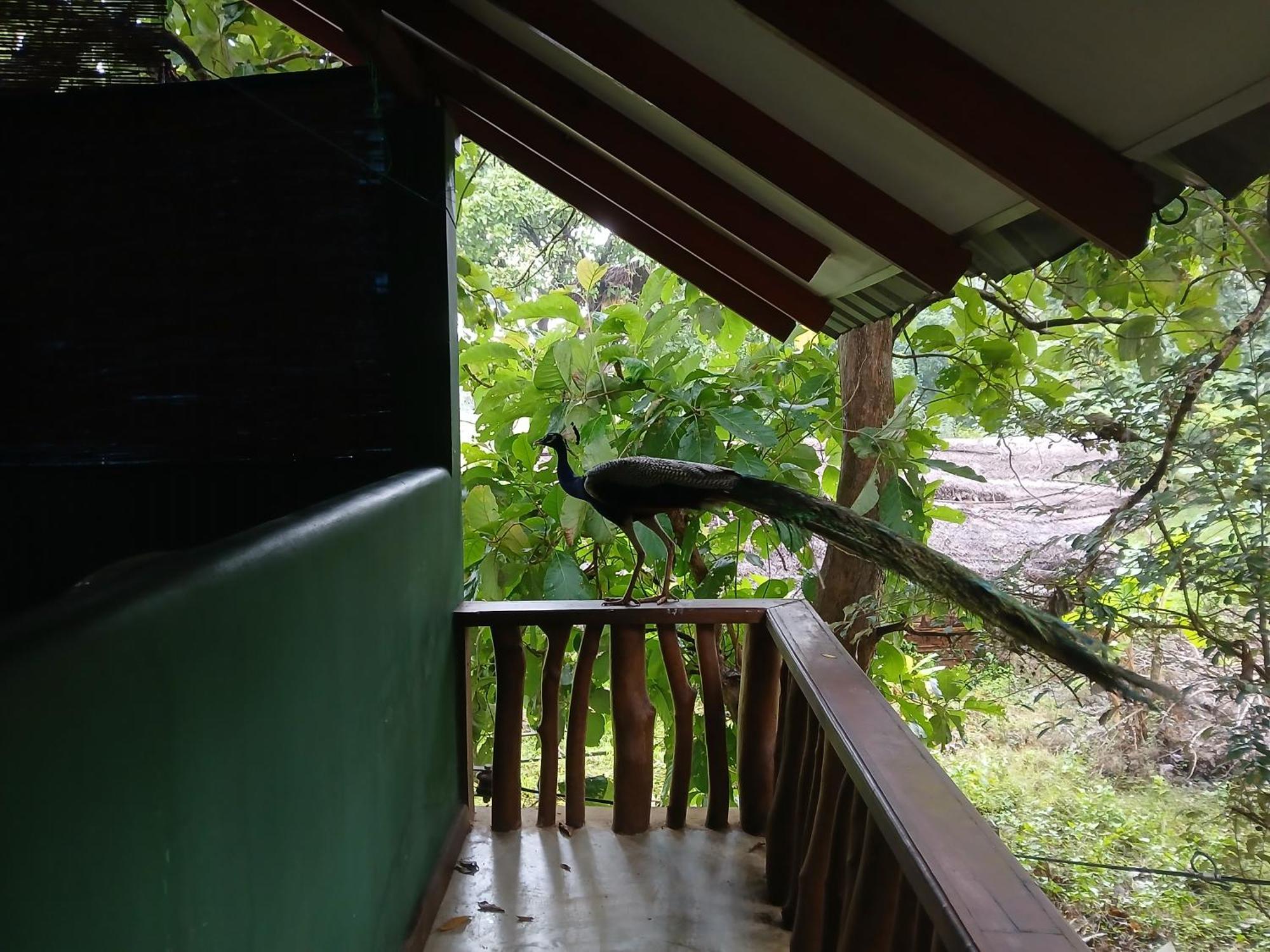 Sigiri Holiday Villa Sigiriya Luaran gambar
